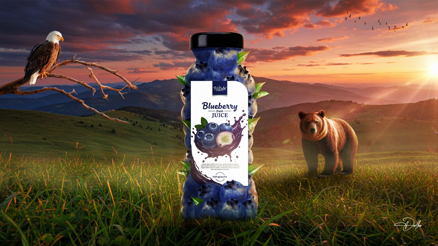 Photo Manipulation Project